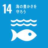 14. 海の豊かさを守ろう 14. 海の豊かさを守ろう